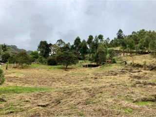 Foto 7 de PROYECTO - GEA Vende Lotes en Altos de Cattleya - vía Totoró