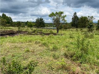 Foto 5 de PROYECTO - GEA Vende Lotes en Condominio Reserva del Lago - El bolson