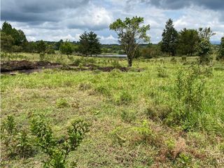 Foto 9 de PROYECTO - GEA Vende Lotes en Condominio Reserva del Lago - El bolson