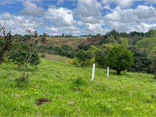 Foto 13 de PROYECTO - GEA Vende Lotes en Parcelación Campestre San Angel
