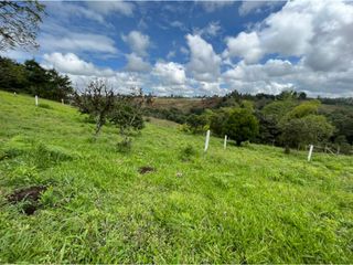 Foto 10 de PROYECTO - GEA Vende Lotes en Parcelación Campestre San Angel