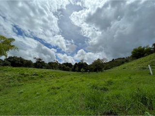 Foto 7 de PROYECTO - GEA Vende Lotes en Parcelación Campestre San Angel