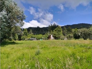 Foto 4 de VENDO LOTE 4.400 M2 TENJO - SECTOR EL ESTANCO | 452 |