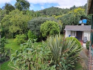 Foto 7 de VENDO LOTE 4.400 M2 TENJO - SECTOR EL ESTANCO | 452 |