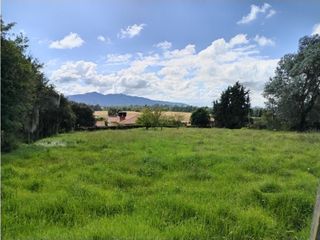 Foto 6 de VENDO LOTE 4.400 M2 TENJO - SECTOR EL ESTANCO | 452 |