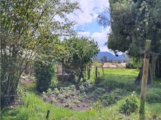 Foto 11 de VENDO LOTE 4.400 M2 TENJO - SECTOR EL ESTANCO | 452 |