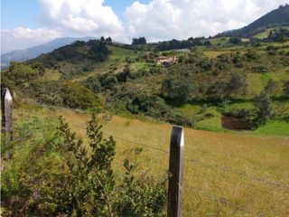 Foto 5 de VENDO TERRENO 5 FANEGADAS - GUATAVITA  455 |