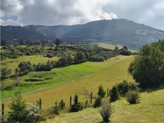 Foto 6 de VENDO TERRENO 5 FANEGADAS - GUATAVITA  455 |