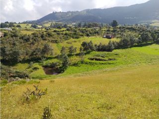 Foto 2 de VENDO TERRENO 5 FANEGADAS - GUATAVITA  455 |