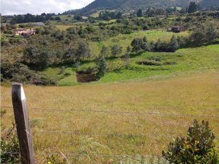 Foto 3 de VENDO TERRENO 5 FANEGADAS - GUATAVITA  455 |