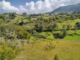 Foto 4 de VENDO TERRENO 5 FANEGADAS - GUATAVITA  455 |
