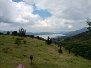 Foto 8 de VENDO TERRENO 5 FANEGADAS - GUATAVITA  455 |