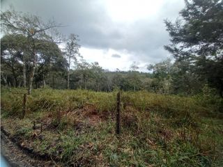 Foto 3 de Venta de Lote en Popayán, Parcelacion el Lago