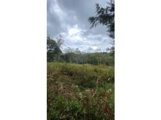 Foto 2 de Venta de Lote en Popayán, Parcelacion el Lago