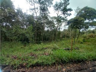 Foto 5 de Venta de Lote en Popayán, Parcelacion el Lago