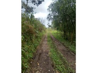 Foto 6 de Venta de Lote en Popayán, Parcelacion el Lago