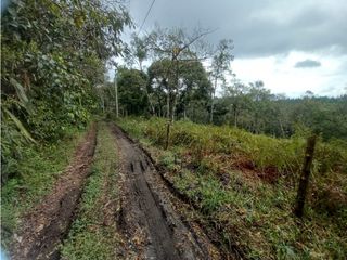 Foto 4 de Venta de Lote en Popayán, Parcelacion el Lago
