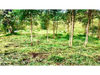 Foto 3 de Venta o Permuta de Lote Esquinero en Timbío
