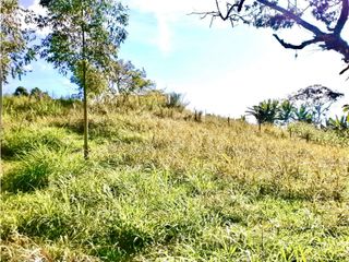 Foto 4 de Venta o Permuta de Lote Esquinero en Timbío