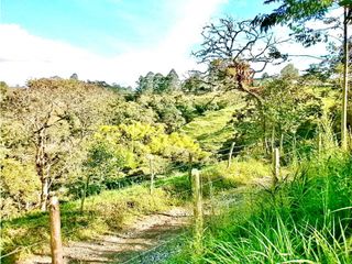 Foto 2 de Venta o Permuta de Lote Esquinero en Timbío