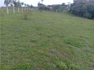 Foto 5 de LUXA VENDE LOTE PARCELACION VEREDA FLORENCIA