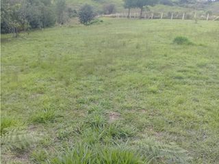 Foto 3 de LUXA VENDE LOTE PARCELACION VEREDA FLORENCIA