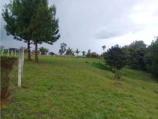 Foto 1 de LUXA VENDE LOTE PARCELACION VEREDA FLORENCIA