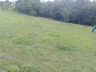 Foto 4 de LUXA VENDE LOTE PARCELACION VEREDA FLORENCIA