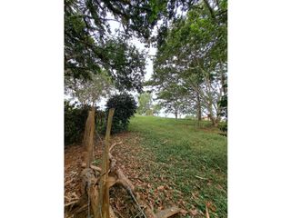 Foto 3 de Venta de Lote en la Parcelación Morinda - Vía Santa Rosa