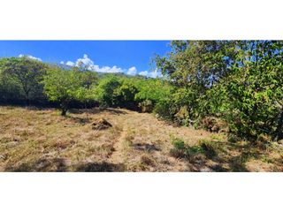 Foto 21 de Vendo Parcela Carrizal Pino Barichara 7155 M2