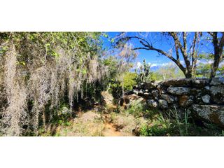 Foto 5 de Vendo Parcela Carrizal Pino Barichara 7155 M2