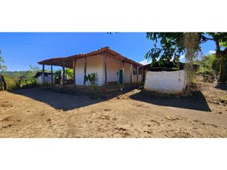 Foto 26 de Vendo Parcela Carrizal Pino Barichara 7155 M2
