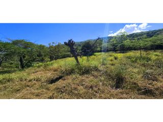 Foto 40 de Vendo Parcela Carrizal Pino Barichara 7155 M2