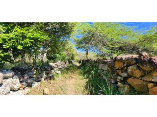 Foto 11 de Vendo Parcela Carrizal Pino Barichara 7155 M2