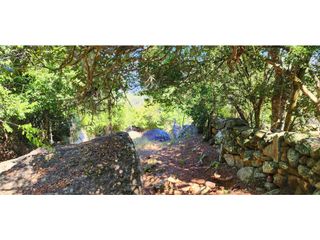Foto 14 de Vendo Parcela Carrizal Pino Barichara 7155 M2
