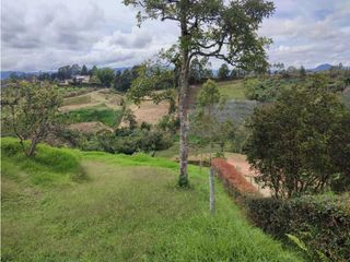 Foto 15 de vendo Lote en venta Marinilla. Cimarronas 3,467 m2