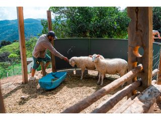 VENTA CASA FINCA DAPA VALLE DEL CAUCA