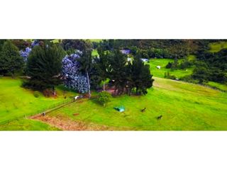 Foto 31 de VENDO HACIENDA  DE LUJO TENJO - CUNDINAMARCA