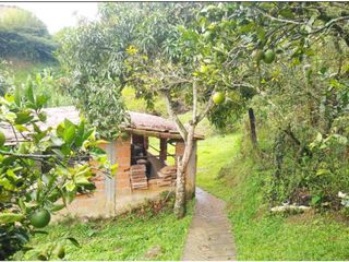 Finca en Venta Vereda El Tablazo Barbosa Antioquia