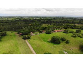 Lotes y Fincas En Venta Condominio Cerrado Montenegro Quindio