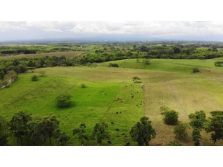 Lotes y Fincas En Venta Condominio Cerrado Montenegro Quindio