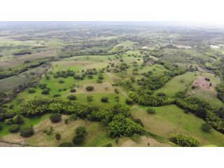 Lotes y Fincas En Venta Condominio Cerrado Montenegro Quindio