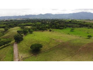 Lotes y Fincas En Venta Condominio Cerrado Montenegro Quindio