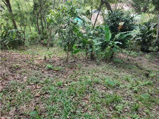 Foto 10 de VENDO CASA CAMPESTRE EN VILLETA