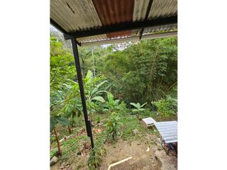 Foto 17 de SE VENDE CASA CON LOTE EN SAN VICENTE DE CHUCUR