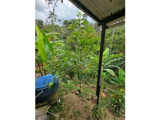 Foto 12 de SE VENDE CASA CON LOTE EN SAN VICENTE DE CHUCUR