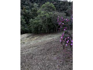 Foto 5 de VENDO LOTE EN MARINILLA 3.900 MTS CERCA DE AUTOPISTA CH