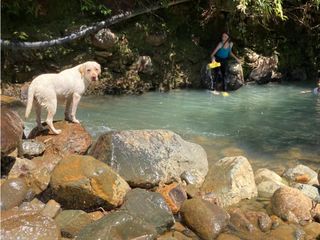 VENTA FINCA VEREDA GUACHINTE JAMUNDI