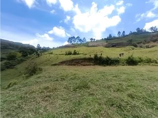 Foto 5 de Lote en venta Marinilla - vereda Salto Arriba