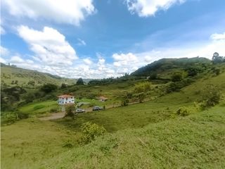 Foto 9 de Lote en venta Marinilla - vereda Salto Arriba
